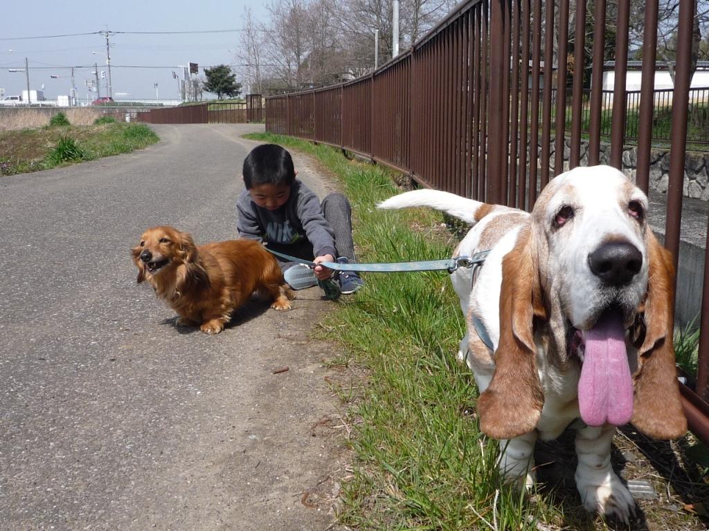 散歩