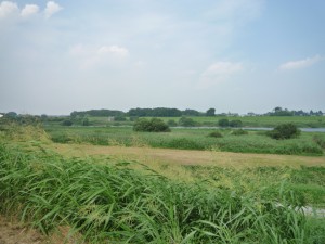 江戸川